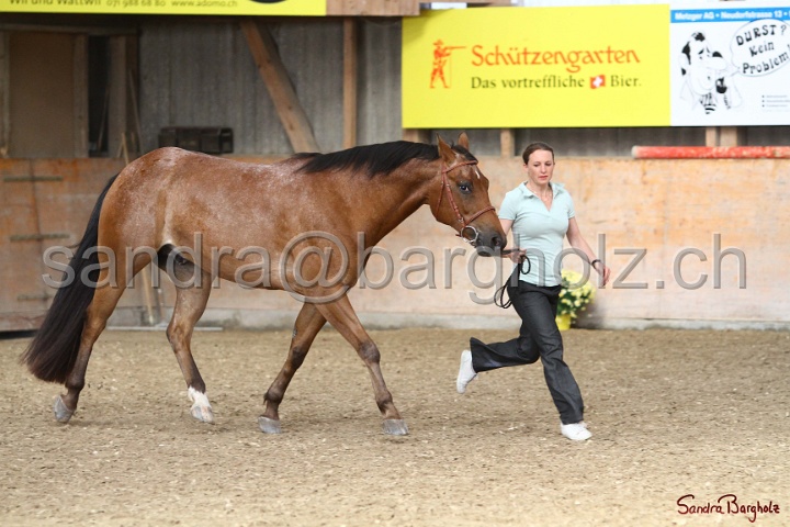24-ApHC HIH_122.jpg